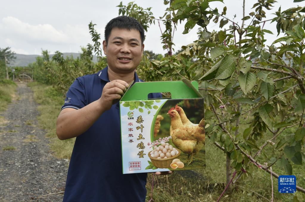 网页炸金花房卡